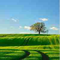 怎‍么‌把‍网﻿页﻿压​缩﻿成﻿文​件​格‌式‍